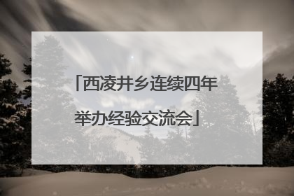 西凌井乡连续四年举办经验交流会